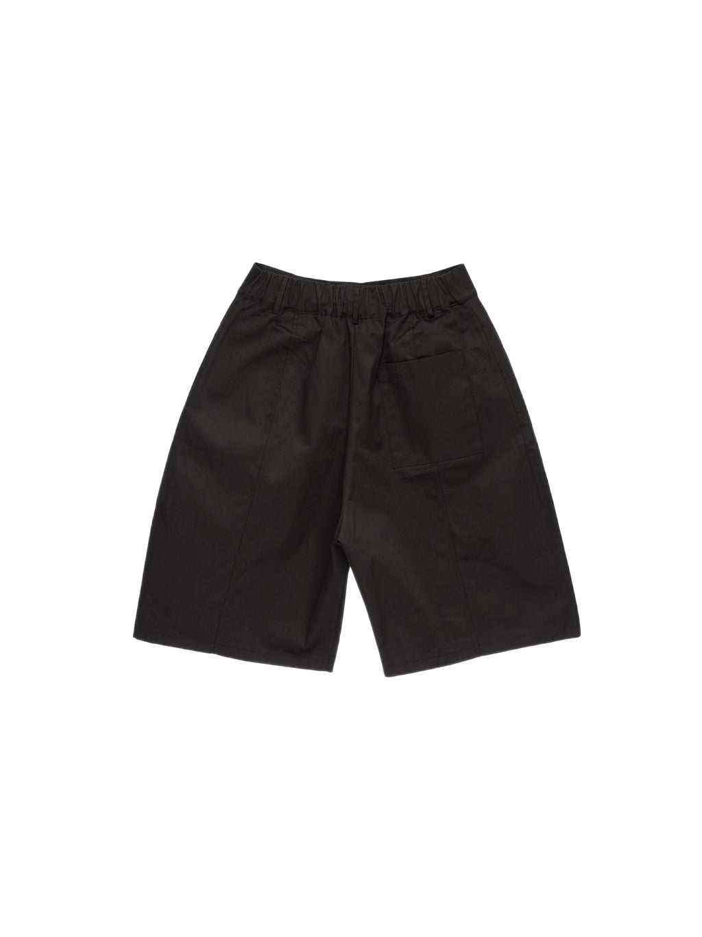 Double Pleated Shorts in Black Ink