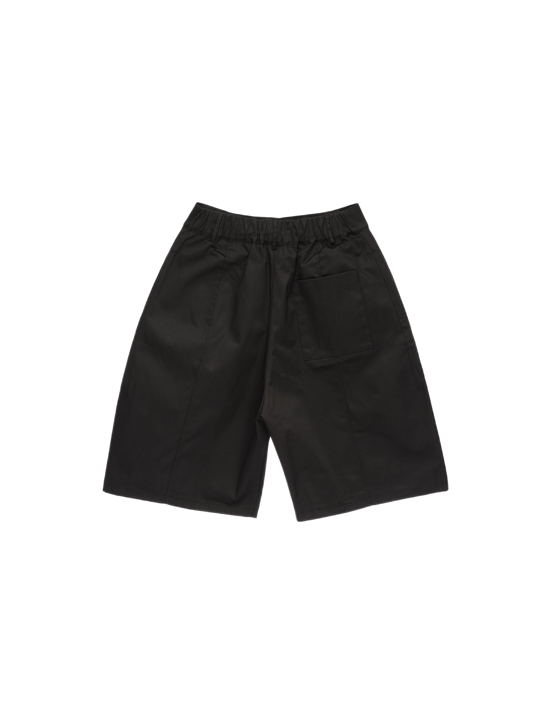 Double Pleated Shorts in Black Ink