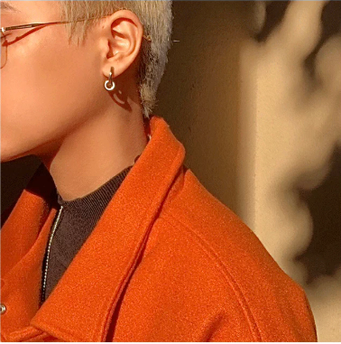 Orbit Clasp Earrings